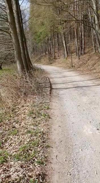 Ferienwohnung Wolf Gräfenroda Exteriör bild
