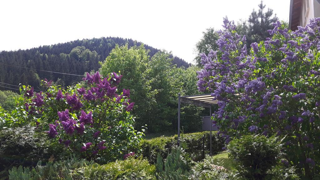 Ferienwohnung Wolf Gräfenroda Exteriör bild